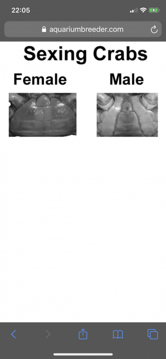B004848F-C80F-4CF9-85E0-E90D20C87140.png