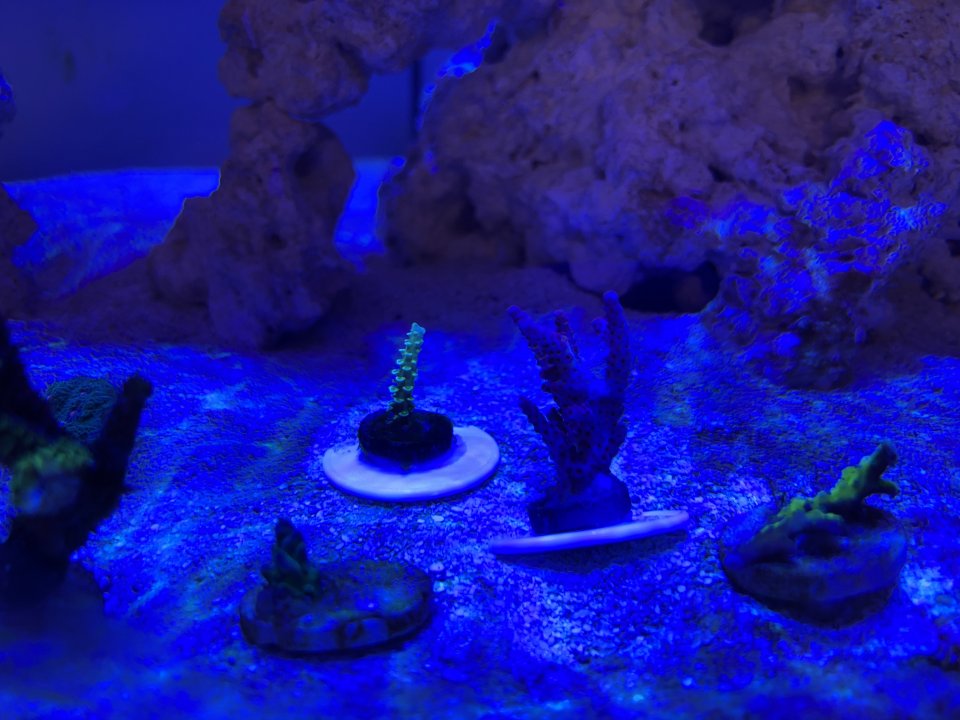 B023A650-4588-4A60-B3C3-F0D91D213272.jpeg