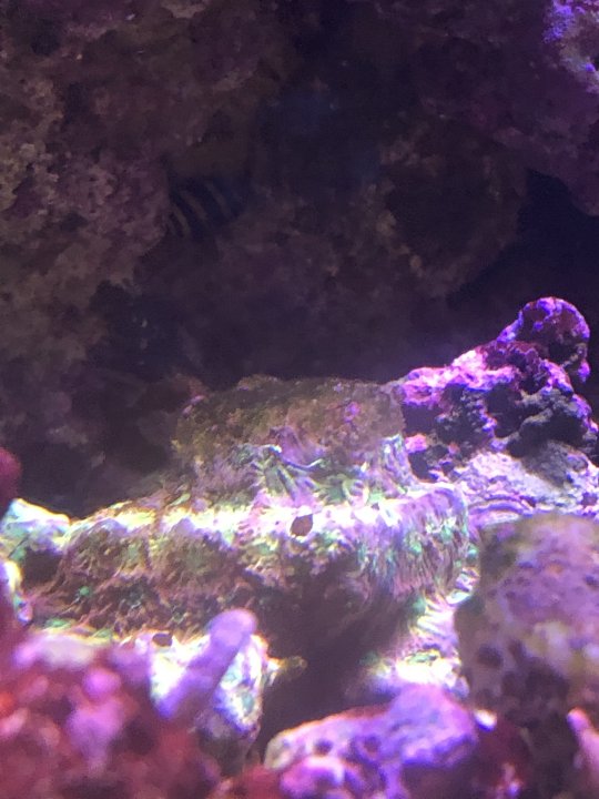 B9CF076E-4160-4D20-8E3B-D697F0962C35.jpeg