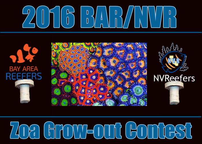 BARNVRZoa.png