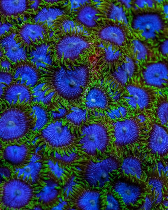 BC1CF23A-EC27-4560-8E84-7DCE468E8B8C.jpeg