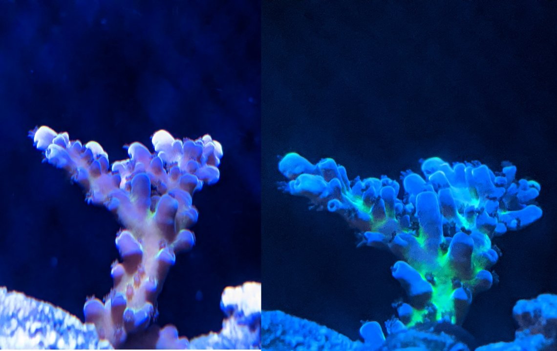 Before and After.jpg
