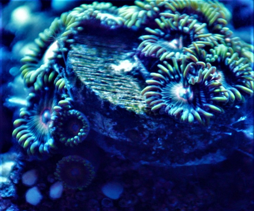bta2 (2).jpg
