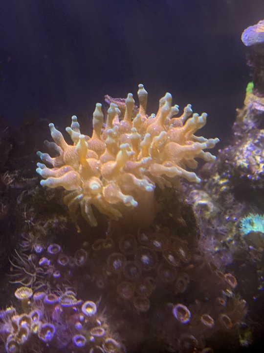 BTA_9_25_21.JPG