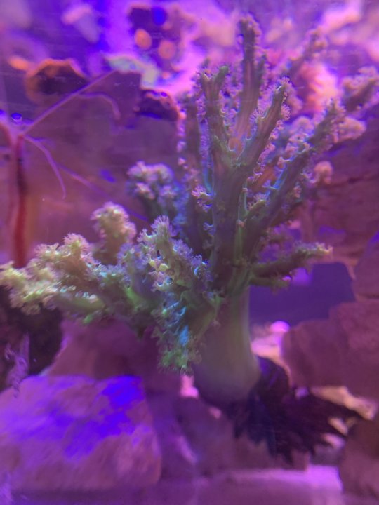 C1202EC7-234E-49EA-9A6D-A0F7FD48F026.jpeg