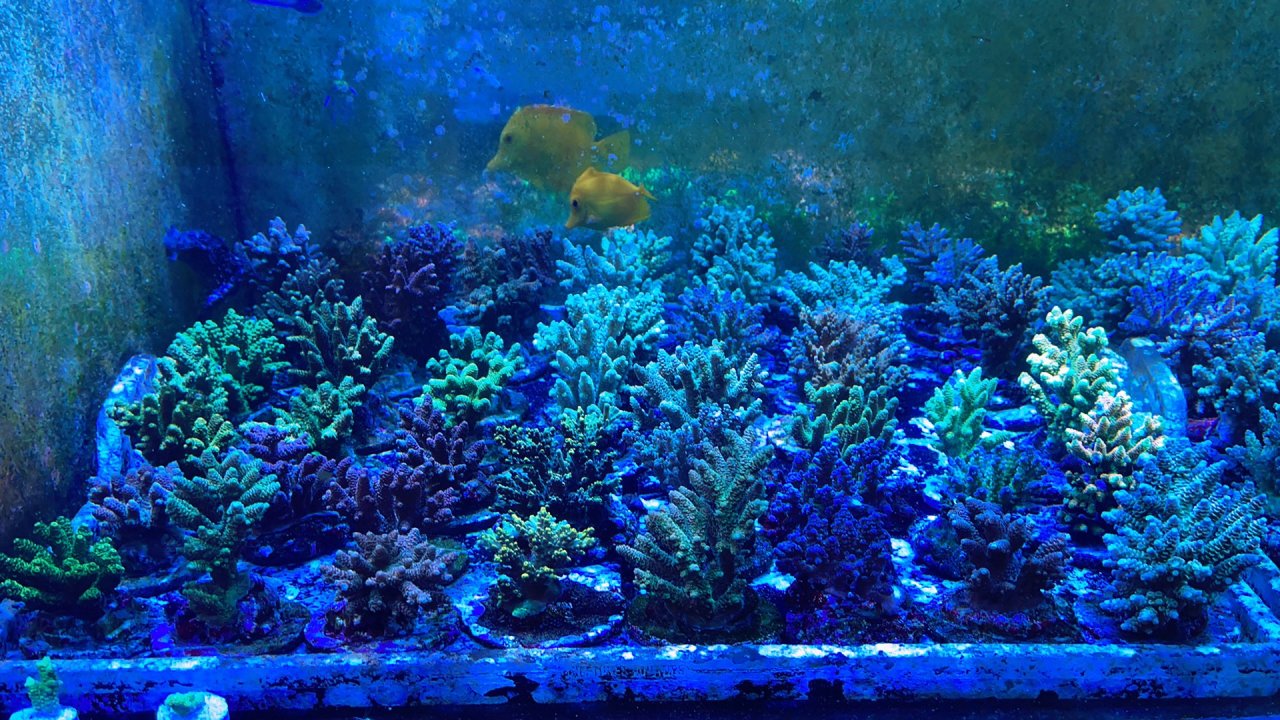 C157C280-2C73-452B-BF50-9789E38AD133.jpeg