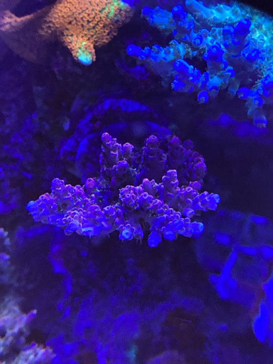 C1F82D19-3020-42CF-8B0E-38E453C6F125.jpeg