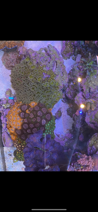 C21CECF5-ADA4-49E5-A70C-16F3C0B3064C.png