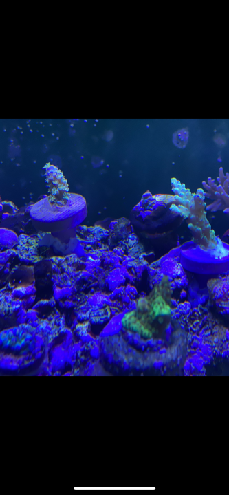 C270B476-FA3D-431C-B620-5AFEFD503ECD.png