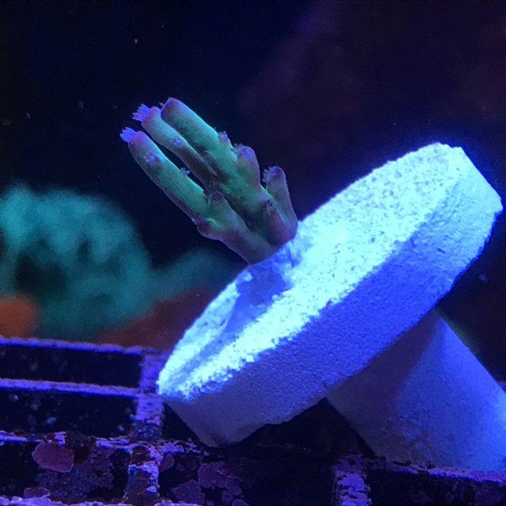 C3858077-8504-487C-8320-E01745BD86C7.jpeg