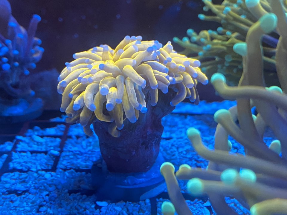 C4A08264-D714-4758-A00E-BE8FB2D00BC5.jpeg