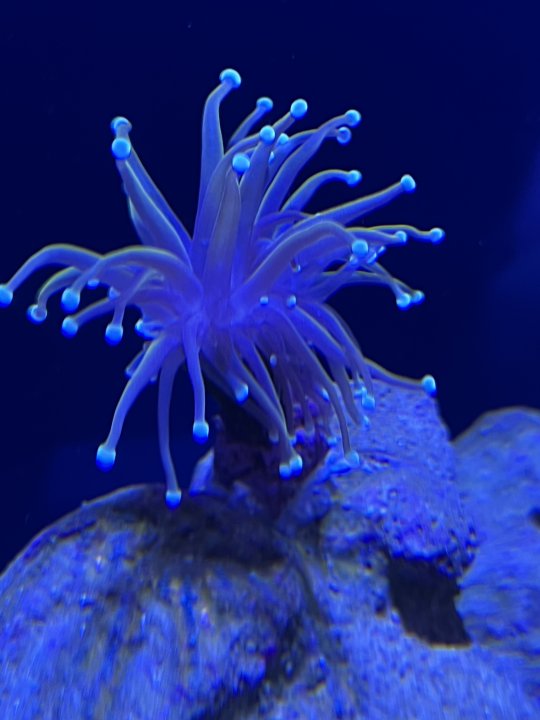 C773BA2C-D36E-41DA-844F-1D273E49A80F.jpeg