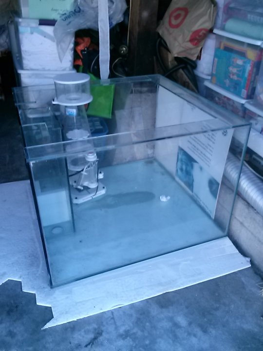 CAM01533.jpg