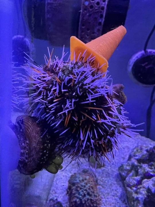 CE784782-6D03-4794-904E-0438B3278079.jpeg