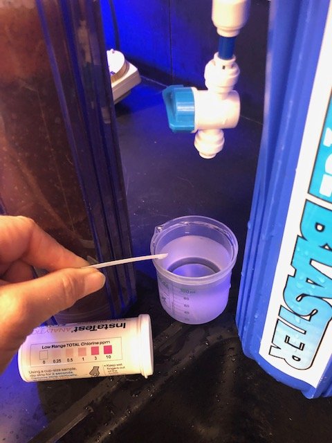 Chlorine.jpg