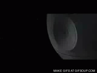 ConfusedNearIggypops-size_restricted.gif