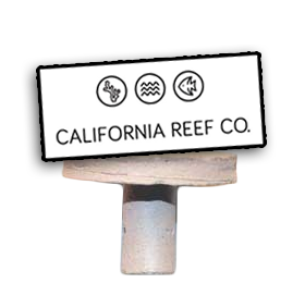 CRC_Plug.png