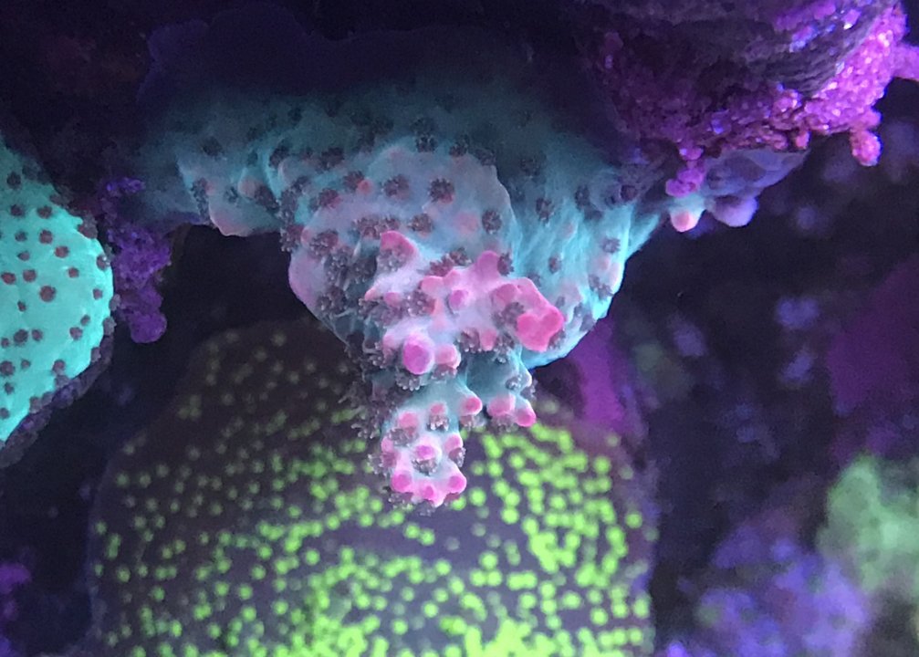 D343C72F-9CD4-46E0-8674-6984C709A1D3.jpeg
