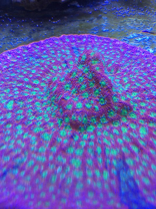 D744E31D-B520-4935-8E74-5AD8A2124635.jpeg