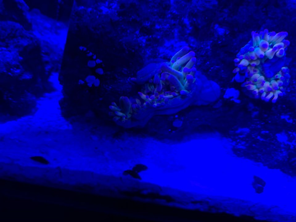 D7836BAA-2C46-4E90-85D4-378F833D0B0C.jpeg