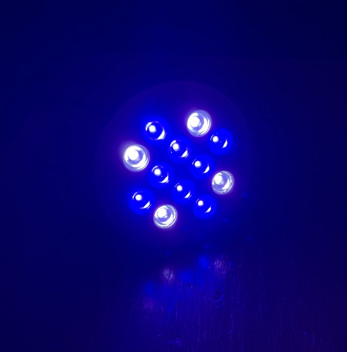 D7F3A88C-0779-4490-B27A-A55F2F8CFBF9.jpeg