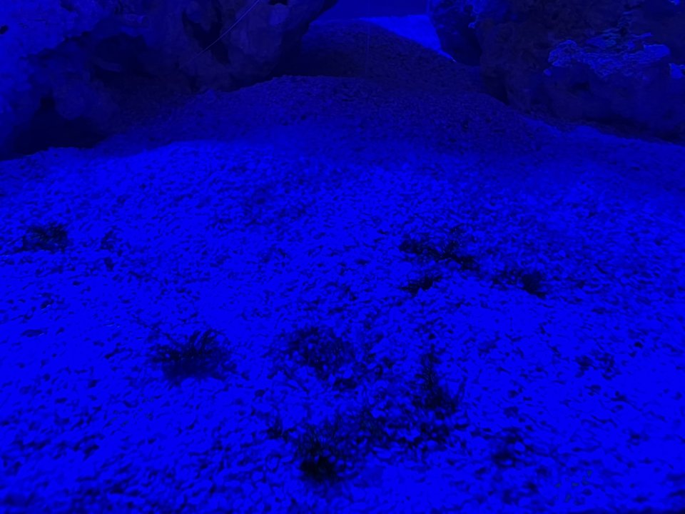 D9EA7CA4-A80C-4AC0-8B42-570D5809F4EF.jpeg