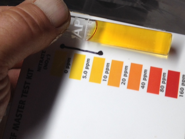 day1nitrate.png