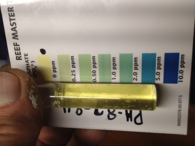 day1phosphate.png