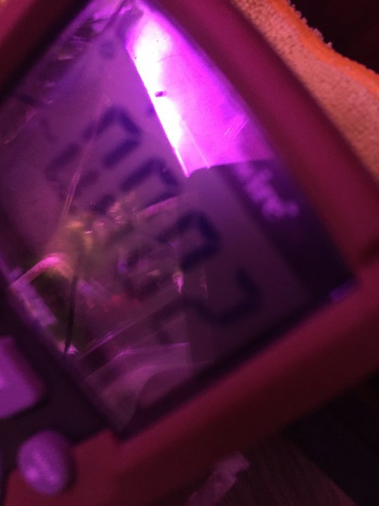 DBDCDC72-5DF7-4297-96BA-110AFB784716.jpeg