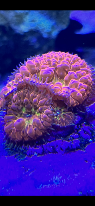 DBEF1608-0704-4AE7-8520-5BAE2425009A.png