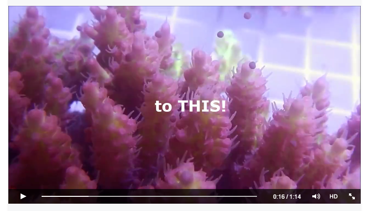 dddd.png