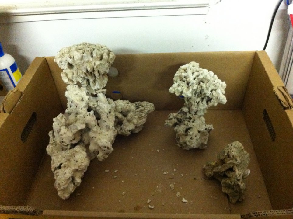 Dry scape 2.JPG