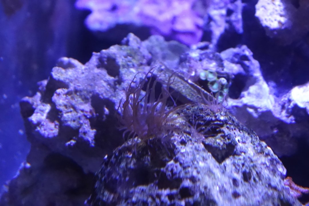 DSC01507.jpg