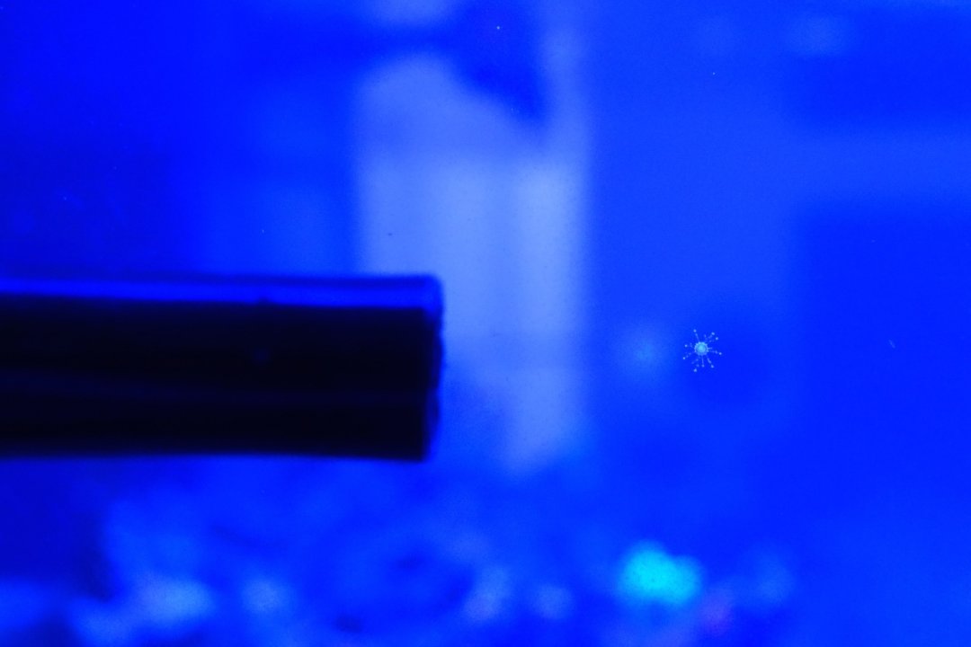 DSC01718.jpg