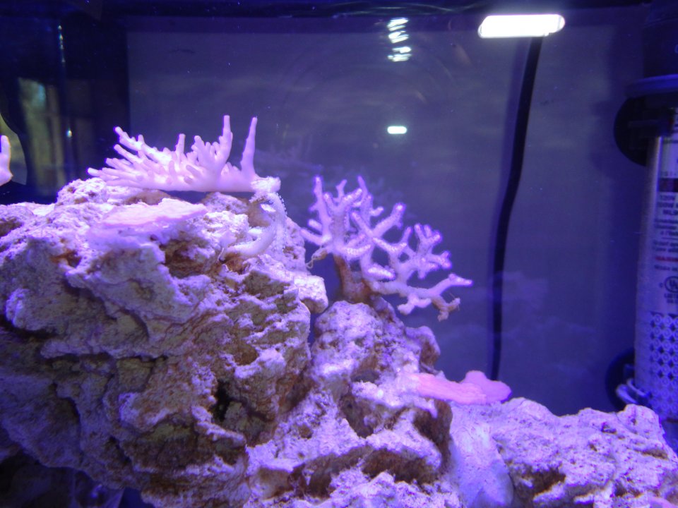 DSC02272.JPG