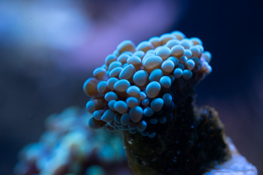 DSC07352.jpg