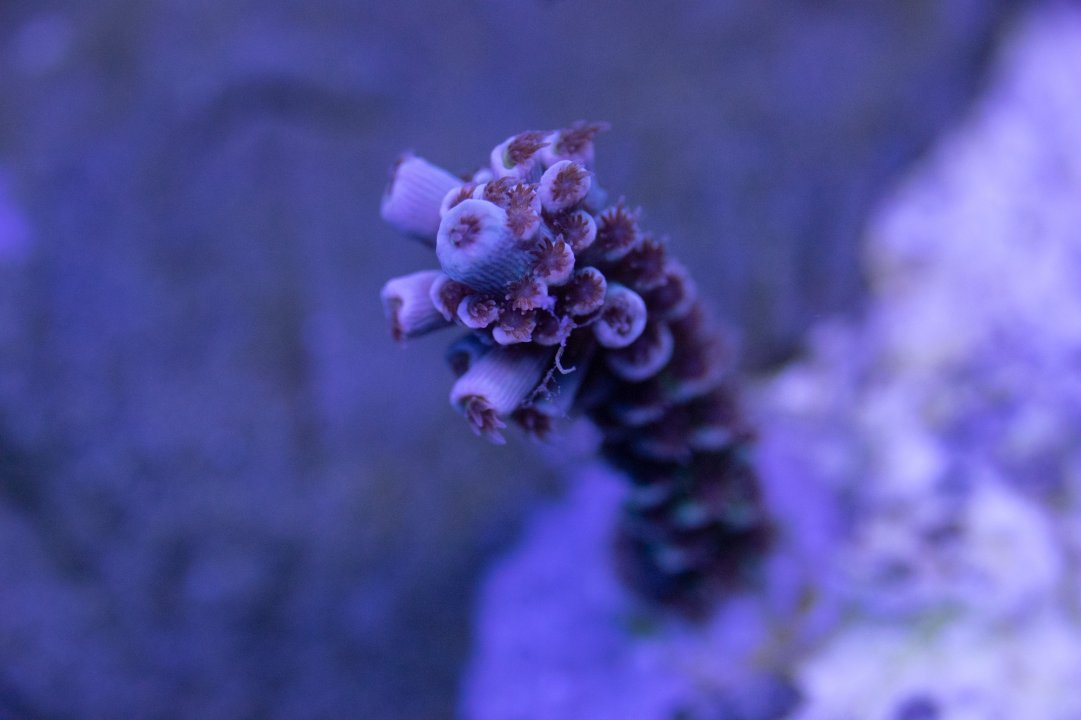 DSC07456.jpg