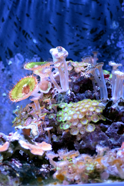 DSC_0066.JPG