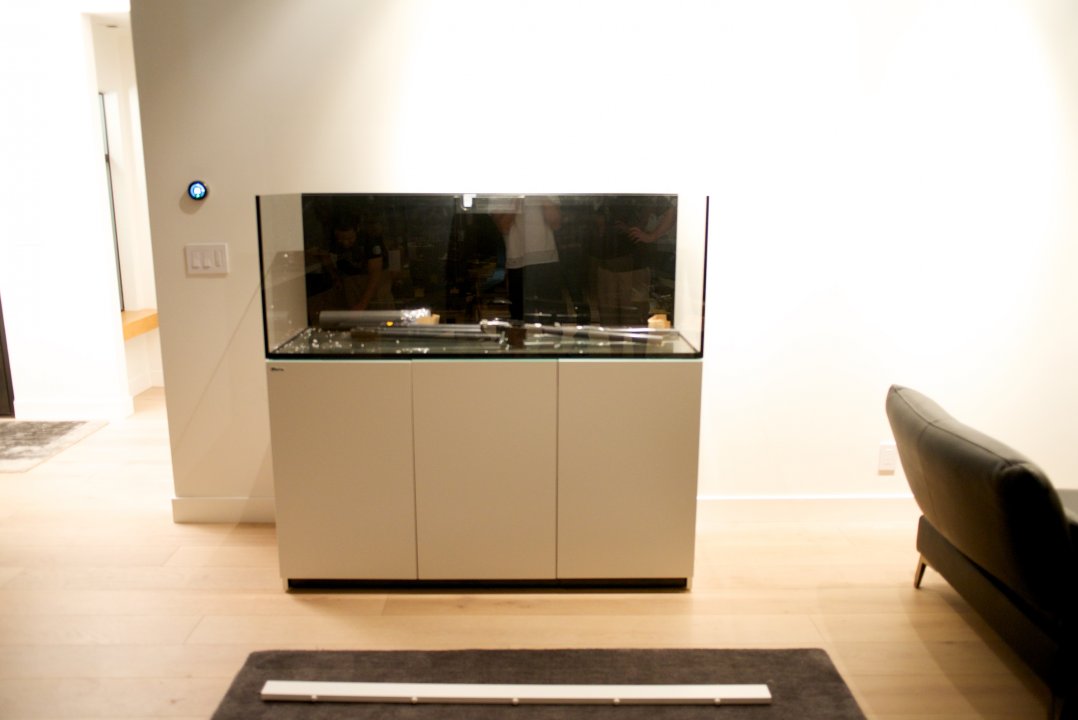 DSC_0167.jpg