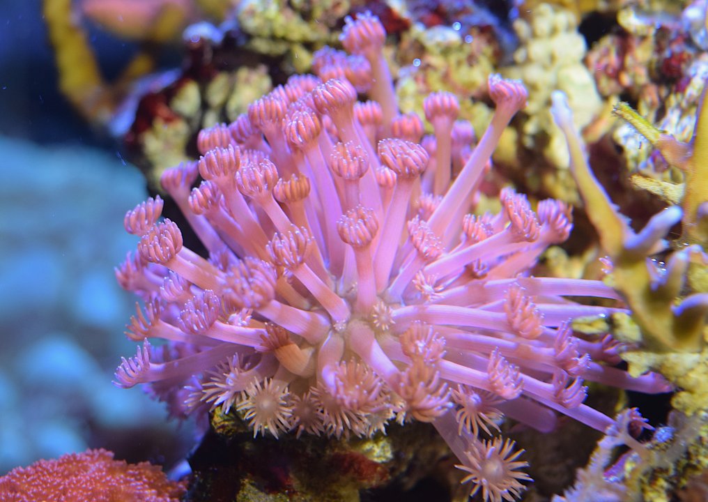 DSC_0379.JPG