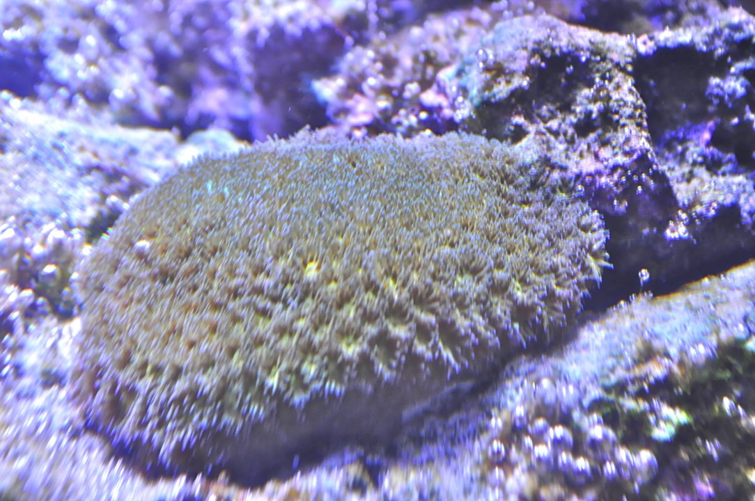 DSC_0458.JPG