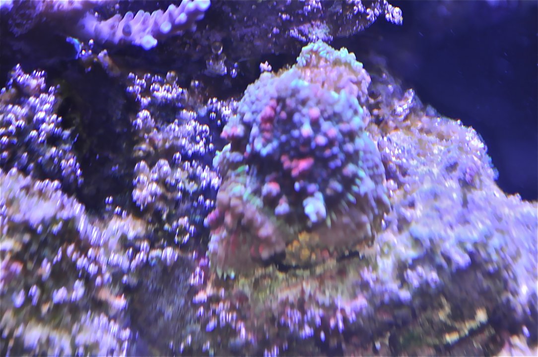 DSC_0476.JPG
