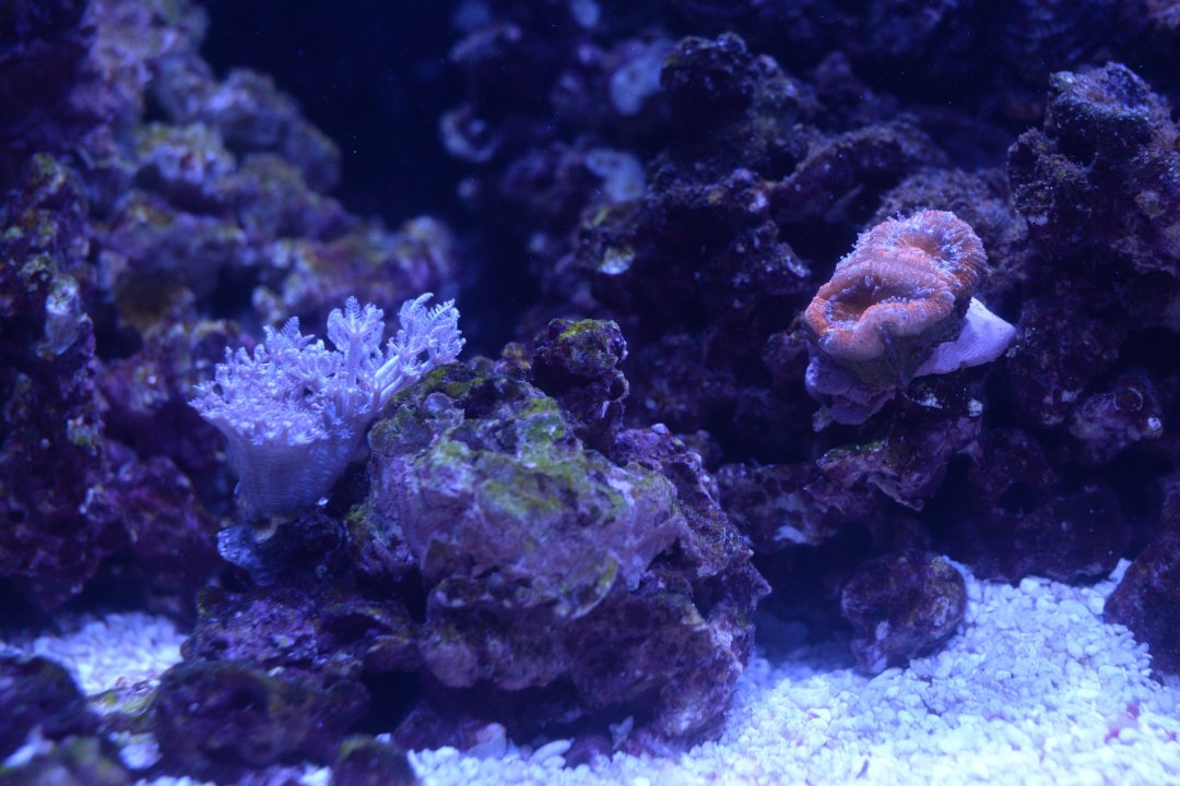 DSC_0480.jpg
