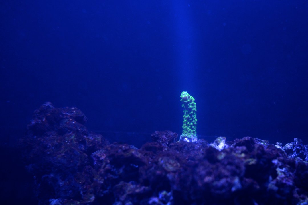 DSC_0483.jpg