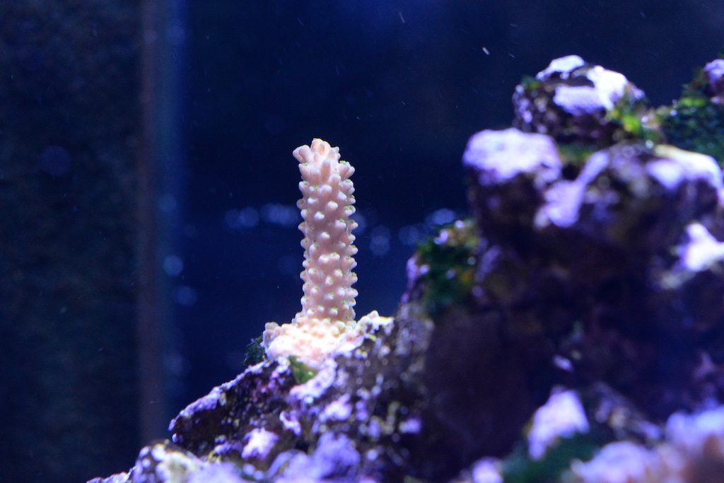 DSC_0645.jpg