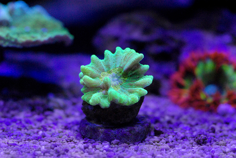 DSC_1862.jpg