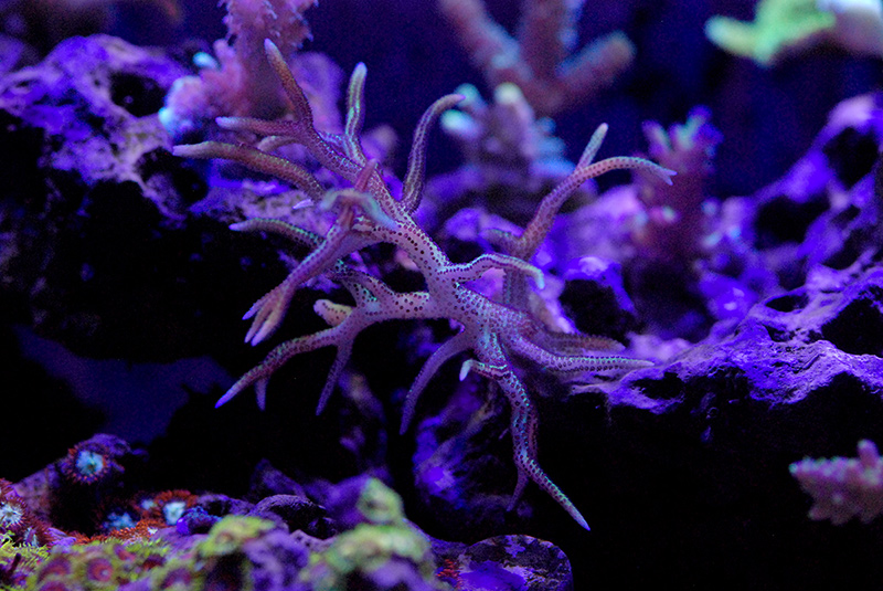 DSC_1932.jpg