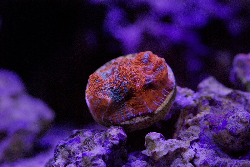 DSC_1945.jpg
