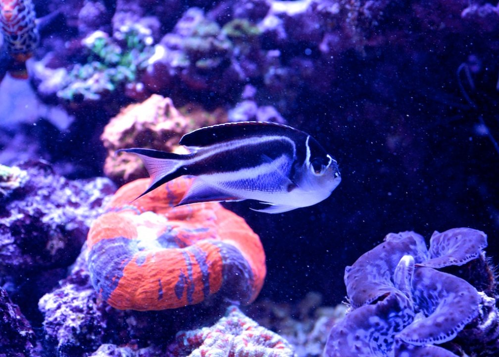 DSC_2094.jpg