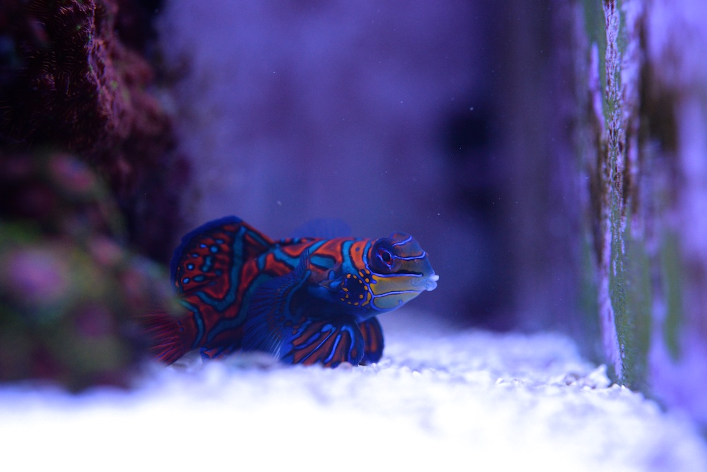DSC_2253.jpg